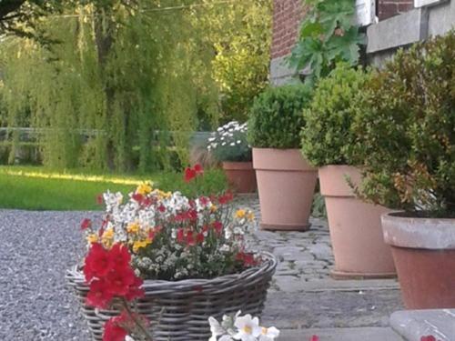 Maison D'Eclaibes Kültér fotó